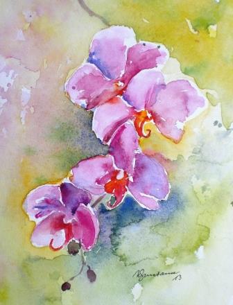 Orchidee